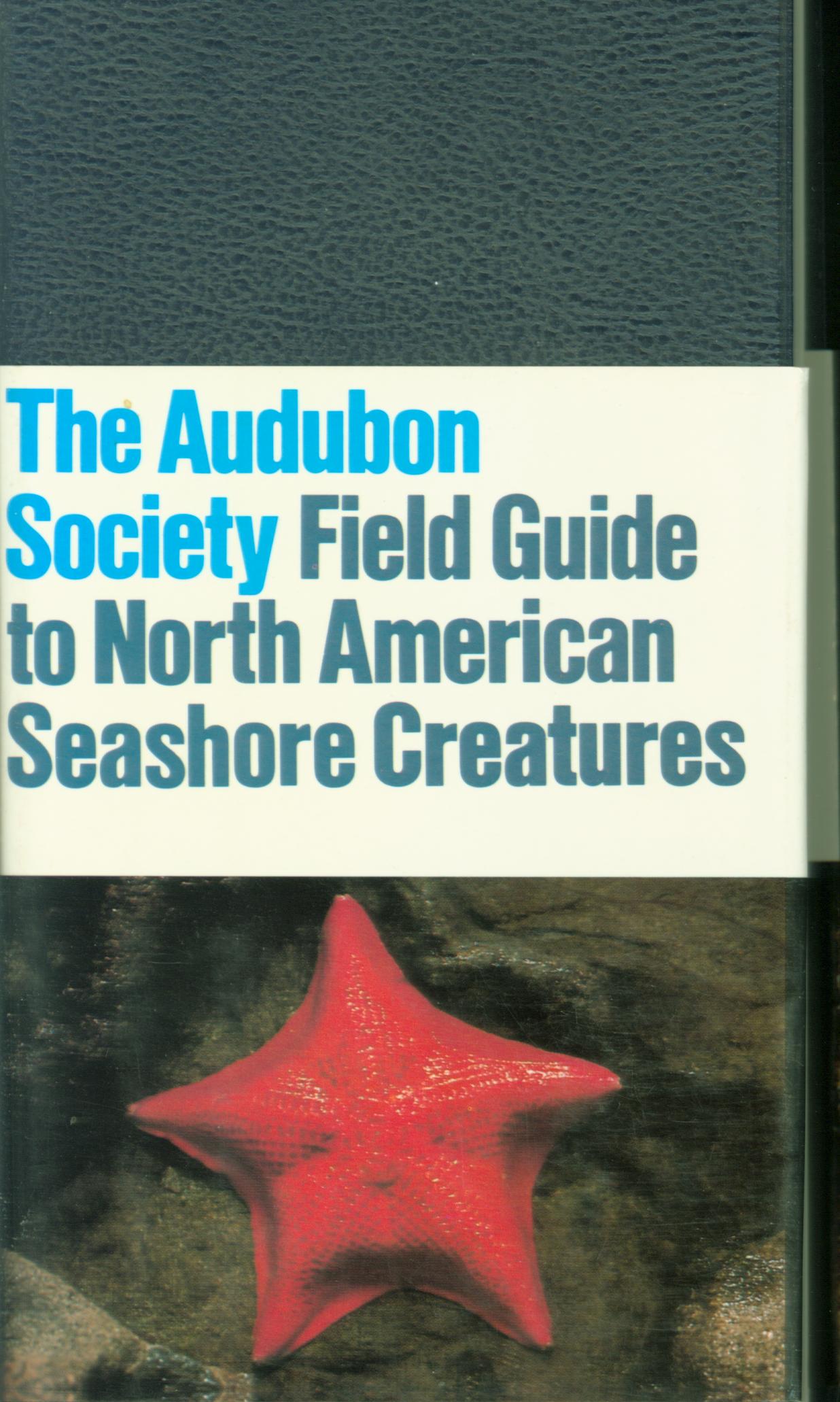 FIELD GUIDE TO NORTH AMERICAN SEASHORE CREATURES: The Audubon Society.